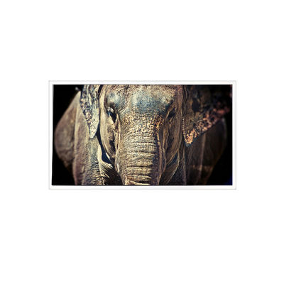 good price VL-FS-7HD 1280*768 7.0 inch LCD Screen for Automotive Display online