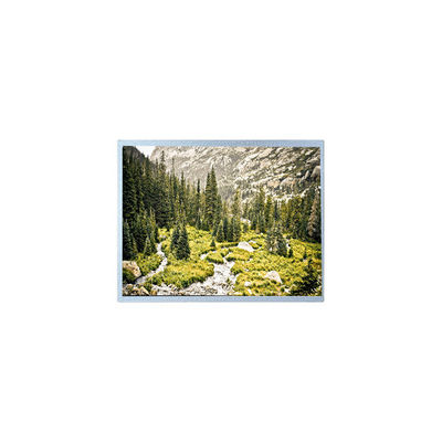 good price 1280*800 10.1 inch G101EAN02.A WLED 1000 cd/m2 LCD Screen online