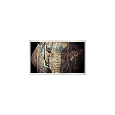 good price PE040QX1 MiNi 4.0 inch 320*240 1000:1 30 pins LCD Screen Panel online