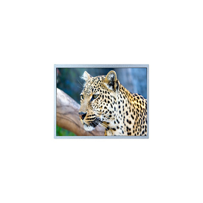 good price 400*234 6.5 inch PW065XS4 LCD Screen for Digital Photo Frame online