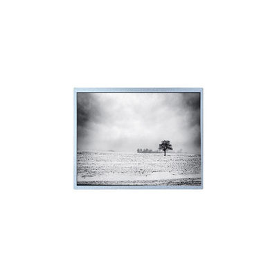 good price new PW080XU4 480*220 8.0 inch 60Hz 30 pins LCD Screen Panel online