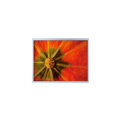 good price Original 1024*600  AM-1024600LTMQW-T05H-A TFT LCD Screen online
