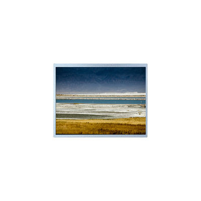 good price 10.1 inch HSD101GWW5-A00-0220 1280*800 LCD Display Panel Module online