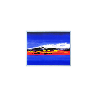 good price 1920*720 12.3 inch HSD123JPW2-F10 LCD screen Module online