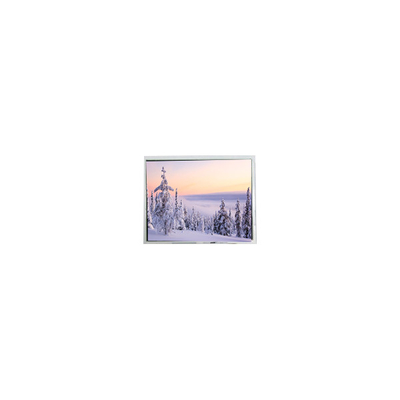 good price new 10.4 inch LRUGB6361A 640*480 LCD Screen for Industrial online