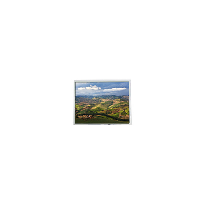 good price 640*480 LRUGB6381B 10.4 inch LCD Screen high quality online