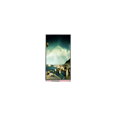 good price 1200*2000 P104ZZD-DF3 10.4 inch LCD Touch Screen Monitor online