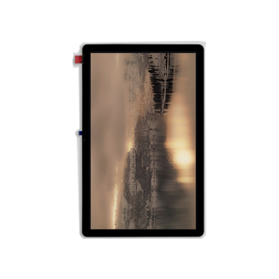 good price New TV106C9M-LL0 10.6 inch LCD Screen Display Module online