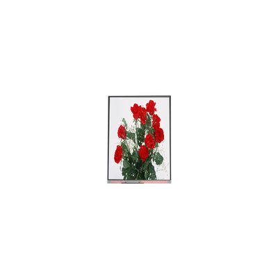 good price C065SWR1-0 6.5 inch lcd screen panel 720*1560 LCD display online