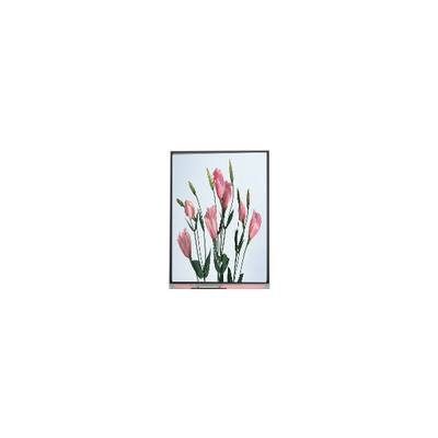 good price 5.7 inch 720*1520 C057SWR2-0 lcd Screen for Mobile Phone online