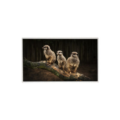 good price HR236WU1-310 23.6 inch 1920*1080 LCD Screen TFT LCD Panel online