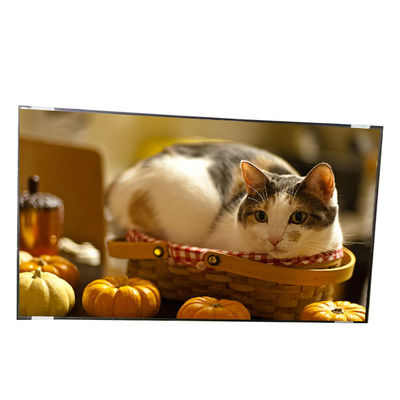 good price 15.6 inch B156RW01 V1 HW0A 1600*900 LCD Screen Module online