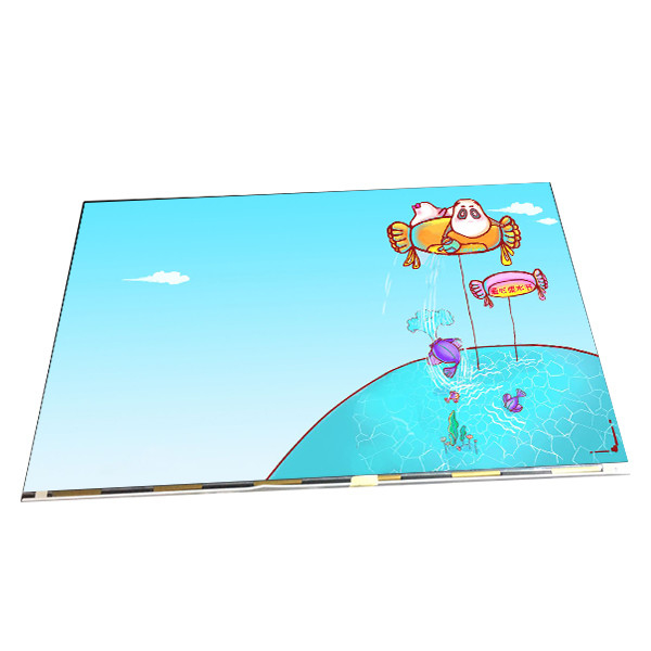M240UAN02.0 24.0 Inch TFT LCD Screen 1920X1200 LCD Module 30 Pins LCD Panel