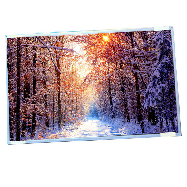 AUO display G220SW01 V0 22.0 inch IPS lcd wide screen with resolution 1680(RGB)×1050