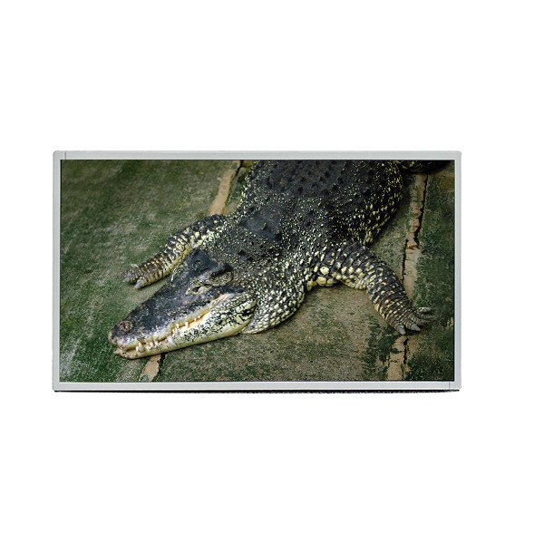 AUO 19.5 inch Panel M195RTN01.0 LVDS Interface 1600X900 TFT LCD Display Screen for Industrial Laptop