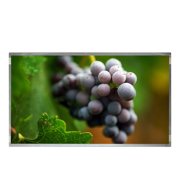 M195FGE-L23 19.0 inch lcd panel matte 1600×900 original new quality