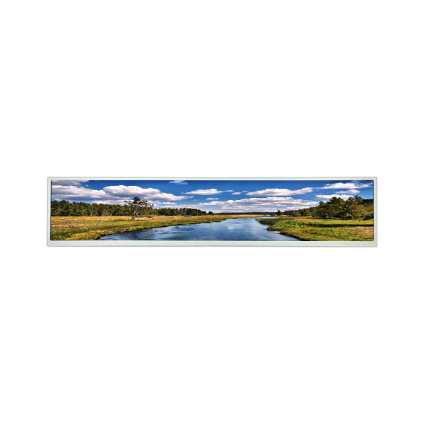 DV231FBQ-NV0 23.1 inch lcd display screen panel for Stretched Bar LCD
