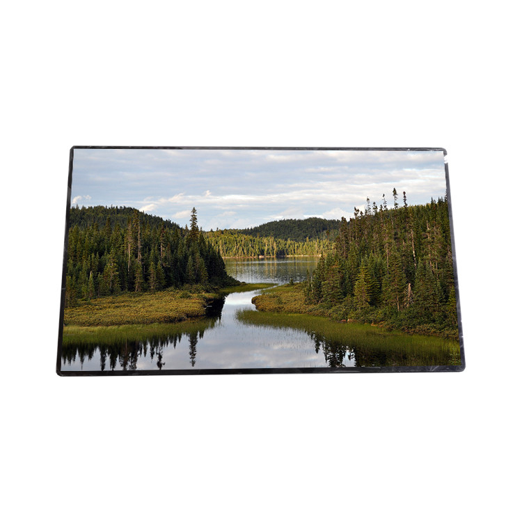 HannStar 15.6 inch 1920x1080 Full View Matte HSD156JUW2-A12 LCD Panel for Automotive Outdoor High Light