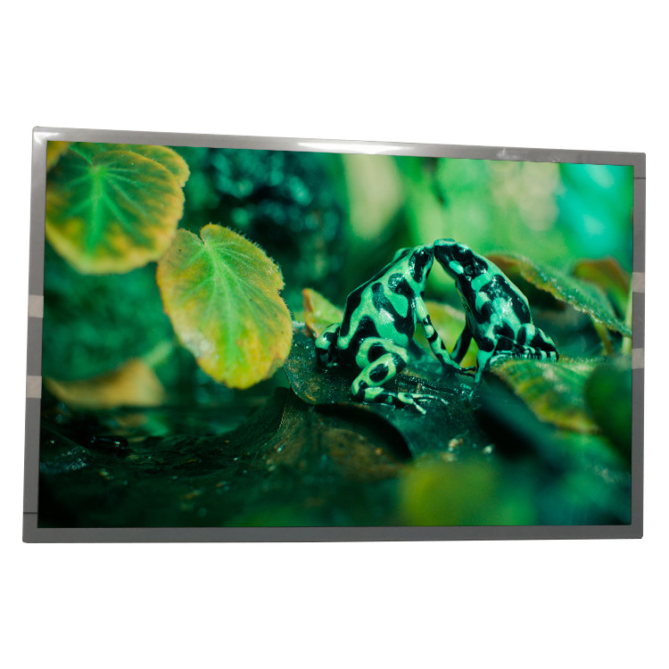 BOE EV220WPB-N10 22 inch 1680*1050 LVDS 30 pins lcd screen for medical imaging