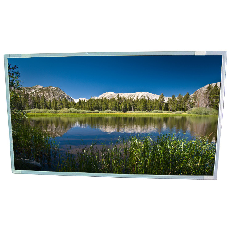 24.5 Inch LCD Display Screen Module HSD250MUW2-B00 RGB 1920×1080 FHD 89PPI
