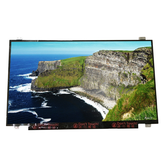 Size 17.3 inch B173RTN02.1 30 pins TFT LCD Screen for Laptop