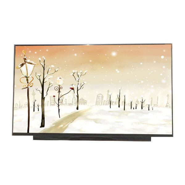 New 17.3 inch B173HAN04.0 1920*1080 127PPI LCD Display for AUO