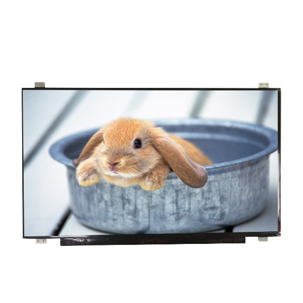 Supply B173HAN01.4 size 17.3 inch Matte Hard coating LCD Screen
