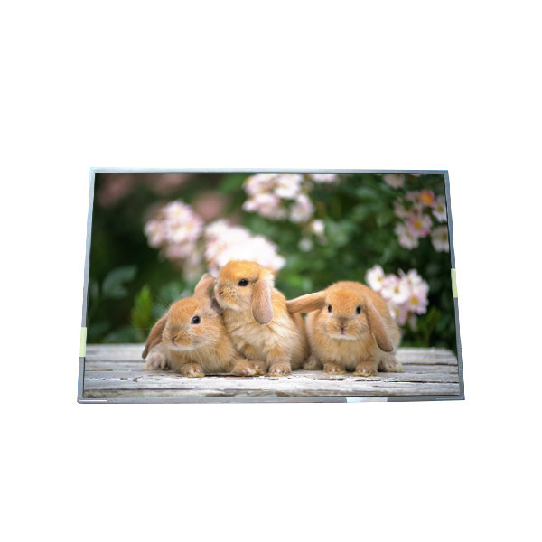 Original in stock size 17.3 inch B170PW05 V1 LCD Screen
