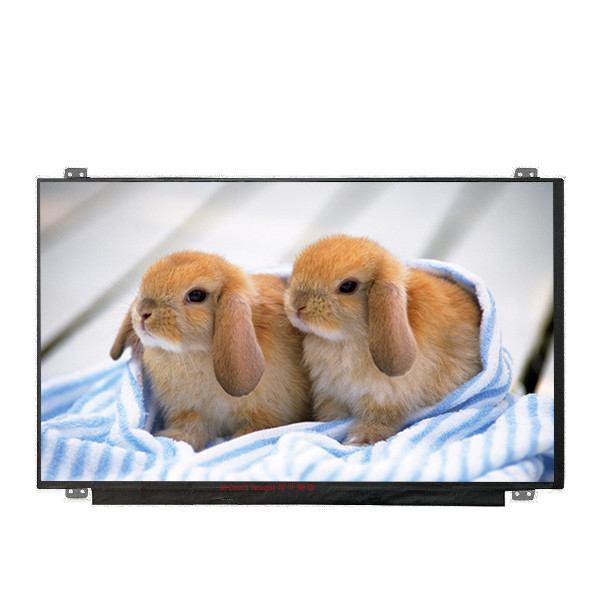 Provide B156HAN04.4 size 15.6 inch LCD Display with LED driver