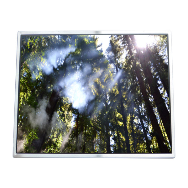 LTM190M2-L01 LCD display 19.0 inch Screen LVDS 30pins connector LCD module