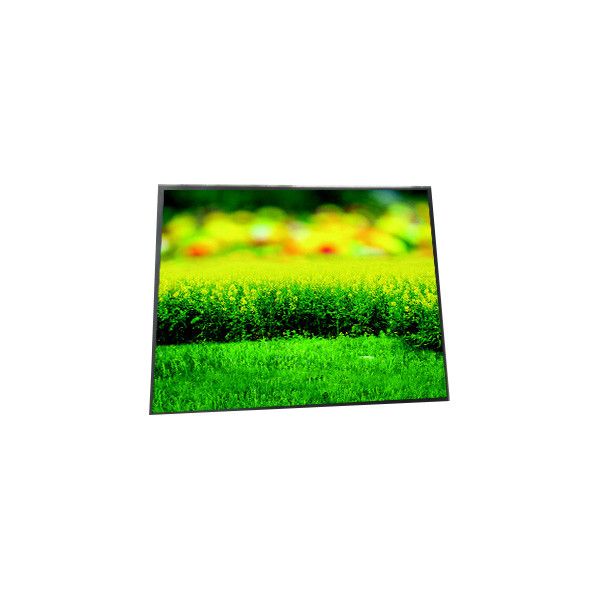 LA092WV1-SD02 New Original 9.2 inch LCD Screen for Car display