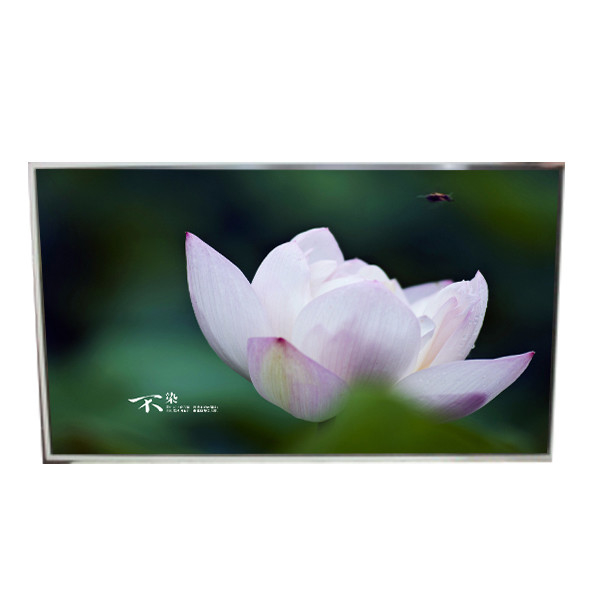 LD490EQG-FPA3 49.0 Inch 3840*2160 Resolution LCD Screen Panel For Digital Signage