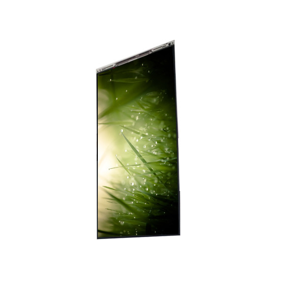 BS055FHG-E41-6C00 5.5 inch LCD Display LCD screen PANEL For Mobile Phone