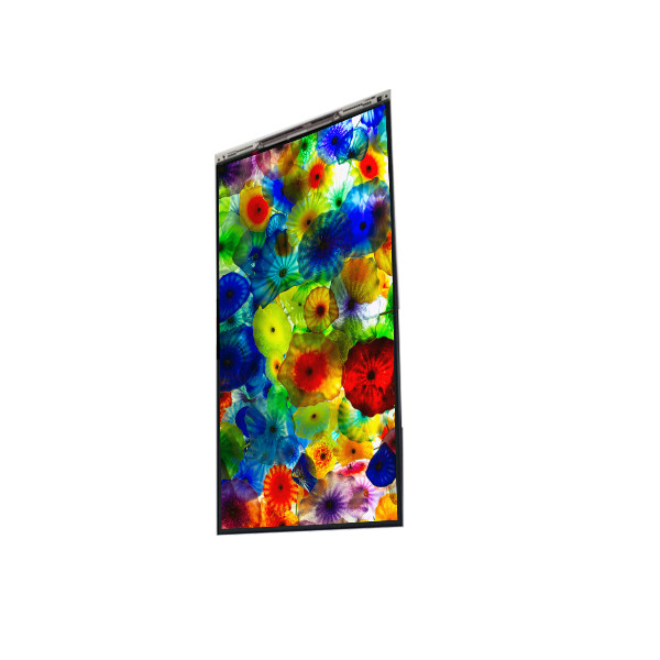 BS060WKE-LB0-6Q00 6.0 inch LCD Display LCD screen PANEL For Mobile Phone