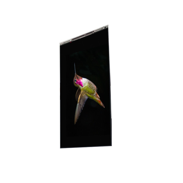 BS062FBE-L30-6Q00 6.3 inch LCD Display LCD screen PANEL For Mobile Phone