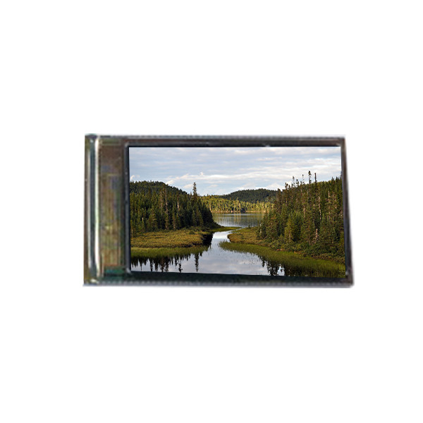 BT050FWQ-N83-3Q00 5.0 inch 480*854 lcd screen panel module For Mobile Phone