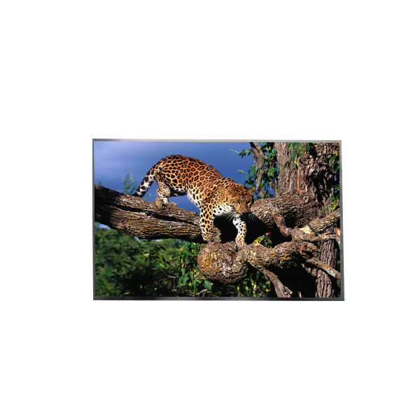 LP156WFC-SPD8 15.6 inch FHD IPS TFT LCD Screen Display for Laptop