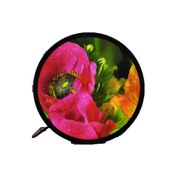 23.6 inch 1280*1280 DV236FBM-N00 1500 cd/m2 LCD Screen For Round Display