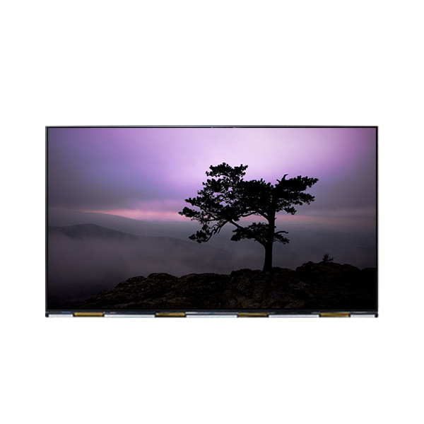 NEW DV980QUM-N10 98 inch 3840*2160 500 cd/m2 1200:1 LCD Screen