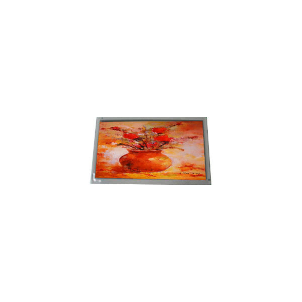 AM-800480STMQW-T09H 7.0 inch 800*480 WLED 280 cd/m2 LCD screen
