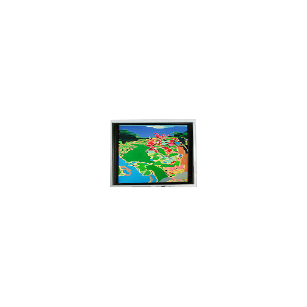 NEW 240*64 5.2 inch DMF-50316NB-FW-AON 20 pins LCD screen Display