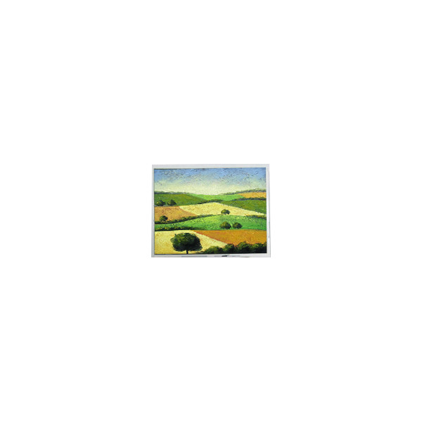 NEW 14.1 inch T-55313D141J-FW-A-AEN 1280*800 LCD Screen Display