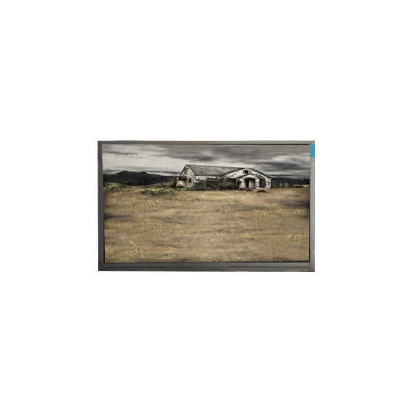 Original 10.1 inch P101GWWF R0 1280*800 LCD Panel for Tablet