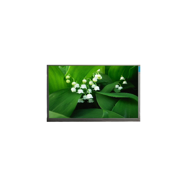Hot Sell 8.0 inch P080LDN-DB4 1200*1920 290 cd/m2 LCD Monitor