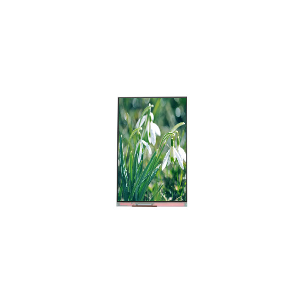 Small 5.0 inch PP050IC-01F 720*1280 LCD display for Mobile Phone