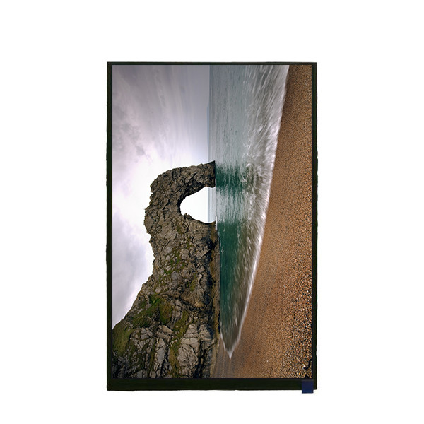10.1 Inch 1200*1920 LCD Display Panel TV101WUM-NX0 For Pad Tablet