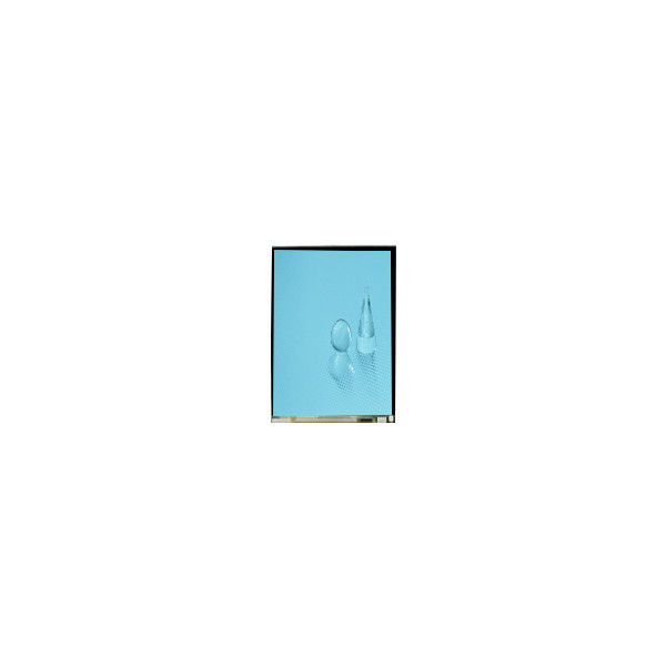 LS060B1SX01 6.0 inch LCD Screen 1080*2160 1500 Cd/M2 LCD Touch Screen