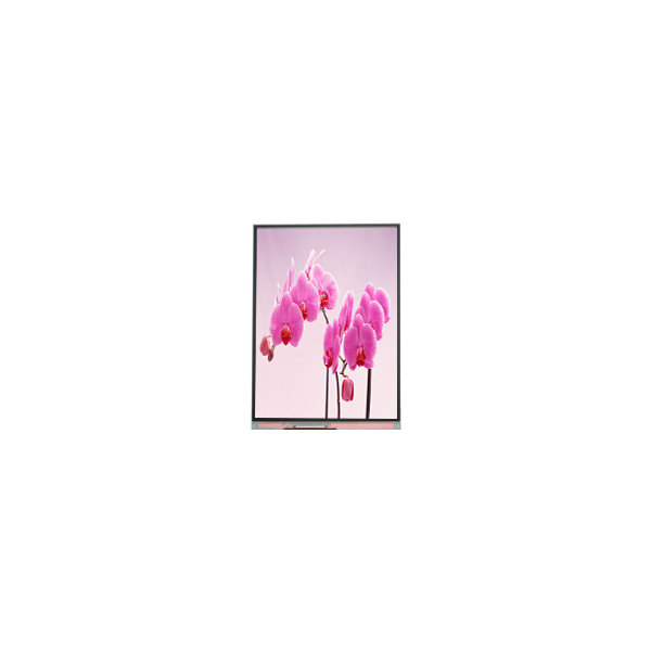 C060SWR5-1 6.0 inch 720*1440 LCD Screen Display Panel For Mobile Phone