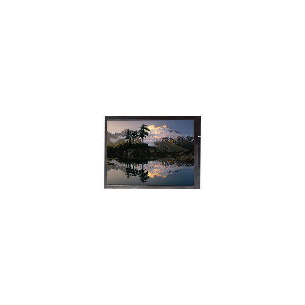 F050A19-6T1 5.0 inch 720*1280 LCD Display Screen for Mobile Phone