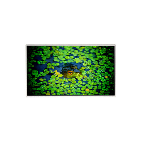 HR236WU3-301 23.6 inch 1920*1080 LCD Screen For Desktop Monitor